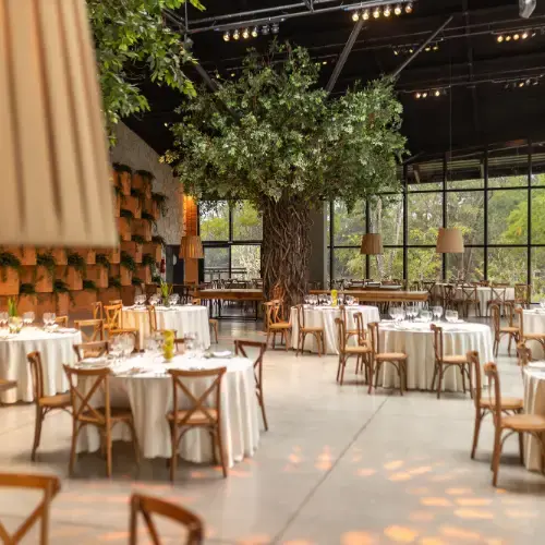 Case Study Restaurant Group Feature Image WEBP