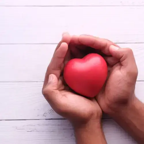 Homeless and Mentally Ill Housing Nonprofit